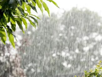 मध्यप्रदेश बारिश अलर्ट