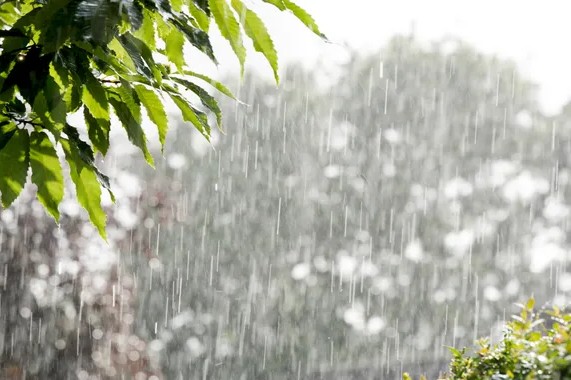 मध्यप्रदेश बारिश अलर्ट