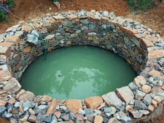 शिवपुरी जिले में एक महिला और उसके दो बच्चों के शव कुएं में मिले