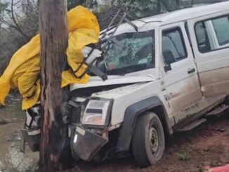 शहडोल में वाहन पेड़ से टकराया, तीन लोगों की मौत और 15 घायल