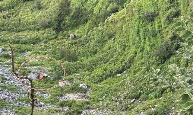 हिमाचल के चंबा में भीषण हादसा : 500 मीटर गहरी खाई में गिरी कार, छह लोगों की मौत