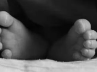 इंदौर में झाड़ियों में मिला नवजात बच्ची का शव, जांच में जुटी पुलिस