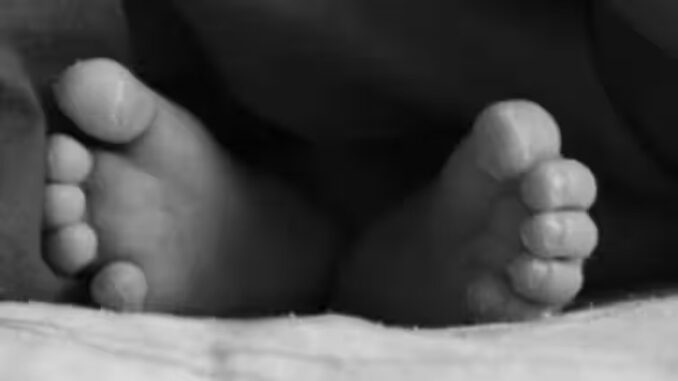 इंदौर में झाड़ियों में मिला नवजात बच्ची का शव, जांच में जुटी पुलिस