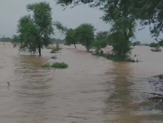 श्योपुर में बाढ़ में डूबे खेत में एक-दूसरे से लिपटे हुए मिले चाचा और भतीजे के शव