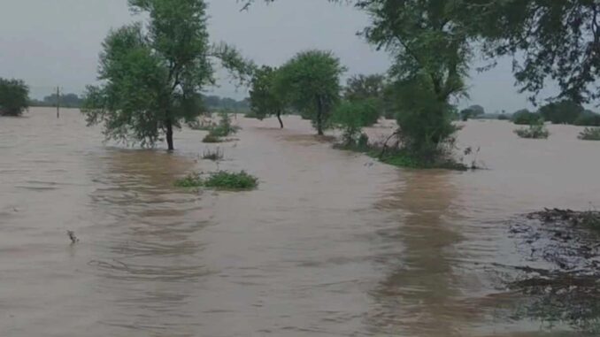 श्योपुर में बाढ़ में डूबे खेत में एक-दूसरे से लिपटे हुए मिले चाचा और भतीजे के शव