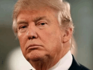 उच्च शुल्क के खिलाफ किसानों ने अमेरिकी राष्ट्रपति डोनाल्ड ट्रंप के पुतले फूंके