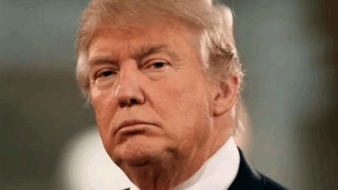 उच्च शुल्क के खिलाफ किसानों ने अमेरिकी राष्ट्रपति डोनाल्ड ट्रंप के पुतले फूंके