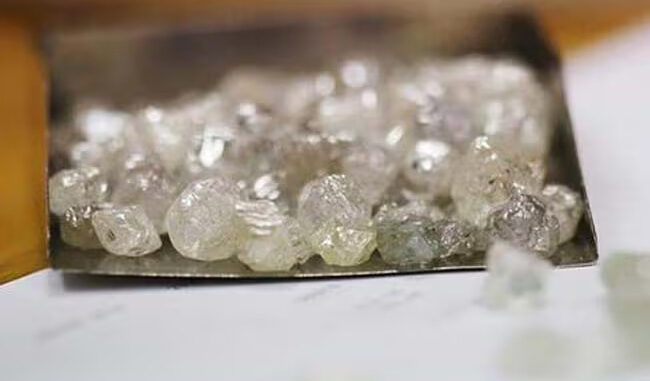 गुजरात के आभूषण कारोबारी पर 1.81 करोड़ के हीरे की ठगी करने का मामला दर्ज