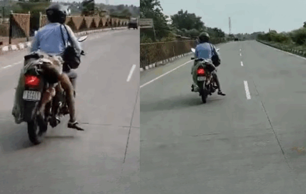 नागपुर में भीषण हादसे के बाद पति ने पत्नी के शव को मोटरसाइकिल से बांधा : वीडियो वायरल