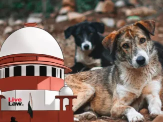 आवारा कुत्तों का मामला : दिल्ली सरकार ने न्यायालय से कहा - बच्चे मर रहे हैं, समस्या का समाधान जरूरी