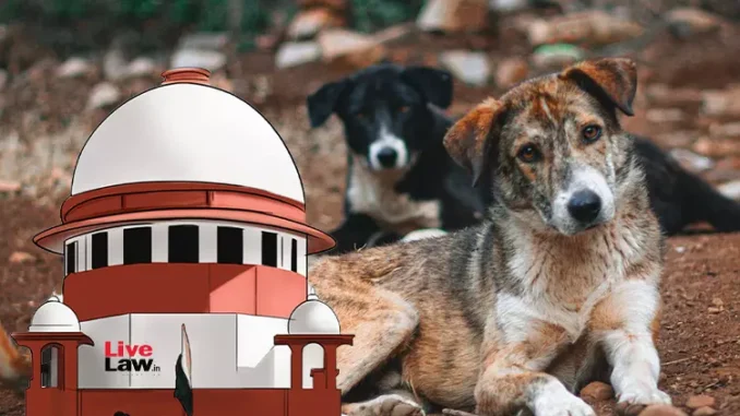 आवारा कुत्तों का मामला : दिल्ली सरकार ने न्यायालय से कहा - बच्चे मर रहे हैं, समस्या का समाधान जरूरी