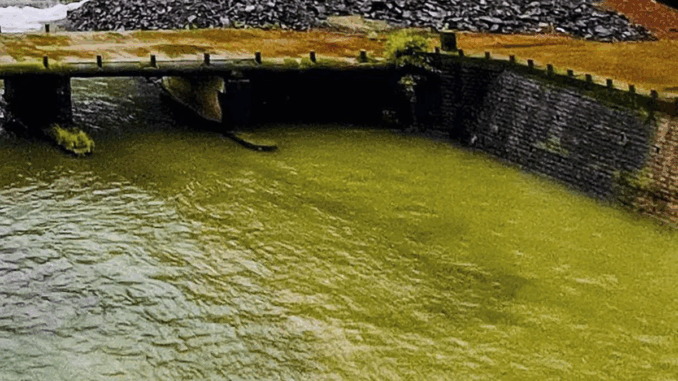 दो साल के बच्चे को सड़क किनारे छोड़कर पति-पत्नी ने बांध में कूदकर आत्महत्या की