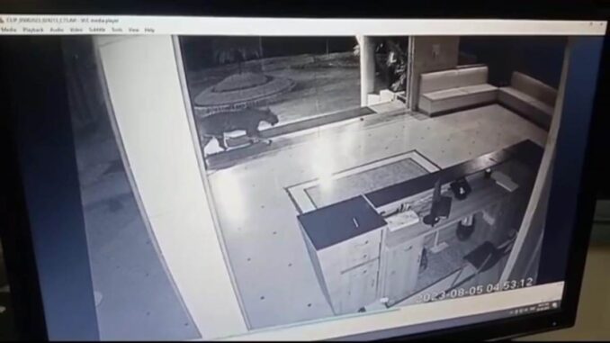 भोपाल के बाहरी इलाके में विश्वविद्यालय परिसर में छात्र पर जंगली जानवर का हमला