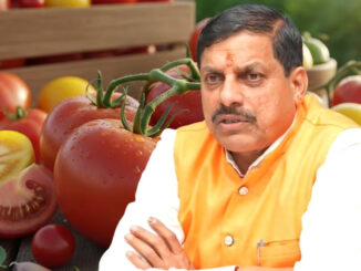 मध्यप्रदेश देश का शीर्ष टमाटर उत्पादक राज्य बना : मोहन यादव