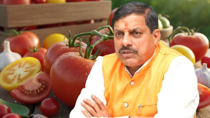 मध्यप्रदेश देश का शीर्ष टमाटर उत्पादक राज्य बना : मोहन यादव