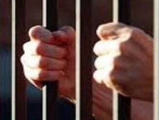 मप्र ‘जनजातीय गौरव दिवस’ पर अच्छे आचरण वाले 29 कैदियों को किया जाएगा रिहा