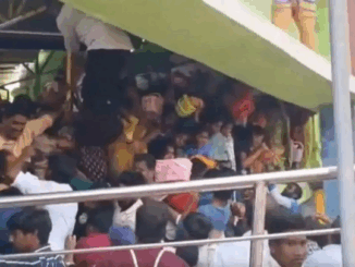 आंध्रप्रदेश के काशीबुग्गा मंदिर में भगदड़ मचने से कम से कम सात लोगों की मौत