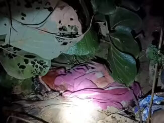 बड़वानी में कड़कड़ाती ठंड में झाड़ियों में घंटों लावारिस पड़ी रही नवजात बच्ची, इलाज के दौरान मौत