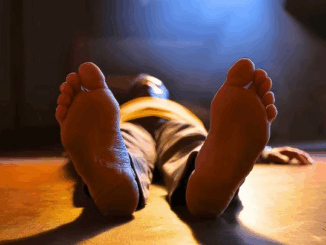 धार कलेक्ट्रेट में लोहे का दरवाजा गिरने से बुजुर्ग की मौत