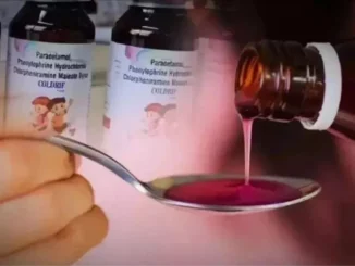 कफ सिरप त्रासदी : एसआईटी ने आरोपी डॉ. प्रवीण सोनी की पत्नी को गिरफ्तार किया