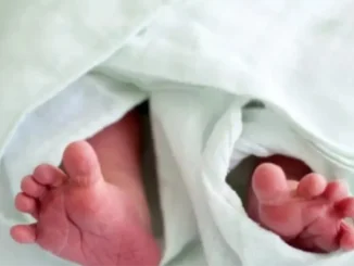 विदिशा में श्मशान घाट के पास नवजात बच्चे के शव को जबड़े में लेकर घूमता मिला कुत्ता