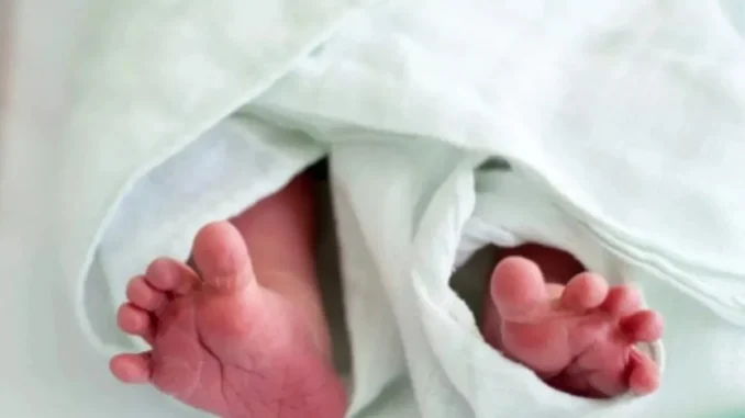 विदिशा में श्मशान घाट के पास नवजात बच्चे के शव को जबड़े में लेकर घूमता मिला कुत्ता