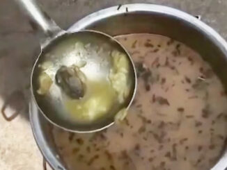 ग्वालियर के सरकारी स्कूल में बच्चों को परोसे गए मध्याह्न भोजन में मिला मरा हुआ मेंढक