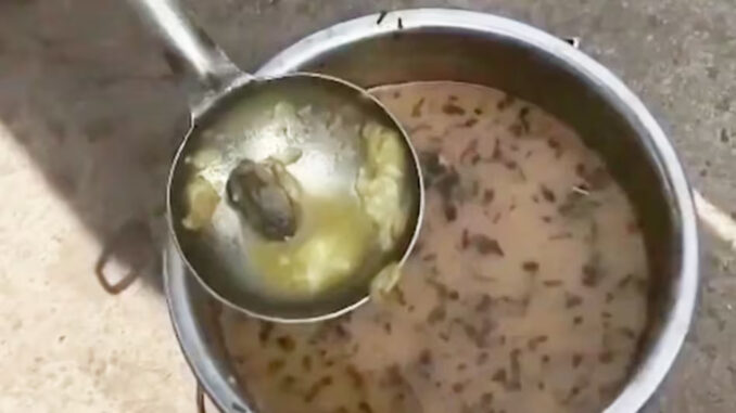 ग्वालियर के सरकारी स्कूल में बच्चों को परोसे गए मध्याह्न भोजन में मिला मरा हुआ मेंढक