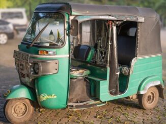 हैदराबाद : शराब पीकर वाहन चलाने पर पकड़े गए ऑटो चालक ने मृत सांप दिखाकर धमकाया