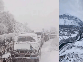 उत्तर-पश्चिमी पाकिस्तान में हिमस्खलन में एक ही परिवार के नौ लोगों की मौत