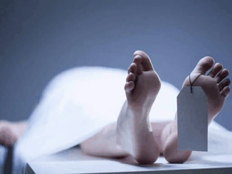 इंदौर में पति-पत्नी के शव संदिग्ध हालात में मिले, जांच में जुटी पुलिस