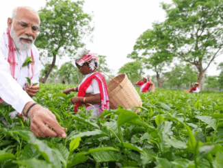 प्रधानमंत्री मोदी ने असम में चाय बागान का दौरा किया, महिला श्रमिकों से बात की
