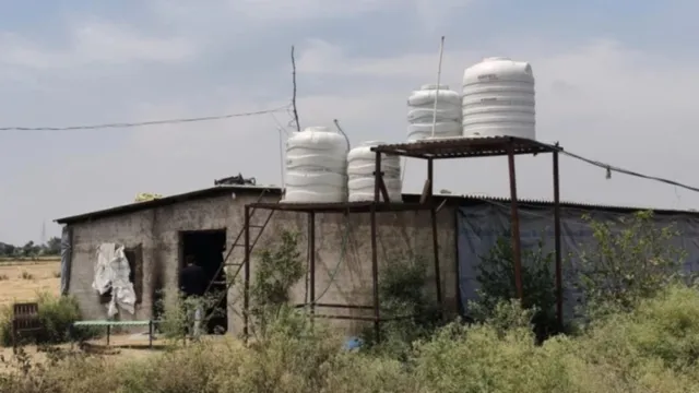 रतलाम में मुर्गी पालन केंद्र की आड़ में मेफेड्रोन के कारखाने का खुलासा, चार आरोपी गिरफ्तार