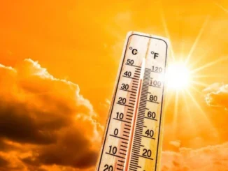 मध्यप्रदेश में भीषण गर्मी : इंदौर और सागर में 29 डिग्री सेल्सियस न्यूनतम तापमान दर्ज, 31 जिलों में लू की चेतावनी