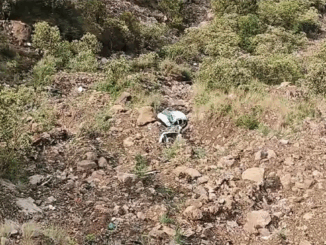 चंबा में कार खाई में गिरने से गुजरात के पांच पर्यटकों समेत छह की मौत, चार घायल