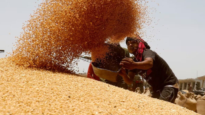 मध्यप्रदेश सरकार ने गेहूं खरीद स्लॉट बुकिंग की अंतिम तिथि 23 मई तक बढ़ाई