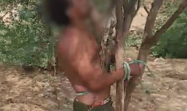 मुरैना में छोटी बहन से छेड़छाड़ के आरोप में दो भाइयों ने पेड़ से बांध कर जीजा को पीटा, दोनों गिरफ्तार