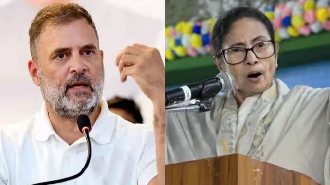 तृणमूल के मामले में 'पार्टी चोरी’ हुई, यह लड़ाई सिर्फ ममता की नहीं : राहुल गांधी