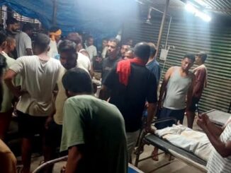 बिहार के वैशाली में नाव पलटने से 13 लोगों की मौत